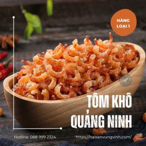 Tom Kho Quang Ninh HSVV 1