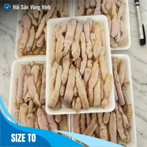 Home 26 Sá sùng tươi Quảng Ninh size to